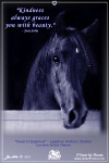 Horse Greeting Card; free to send