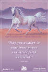 Horse Greeting Card; free to send