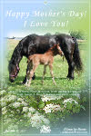 Mother's Day Greeting Card; free to send