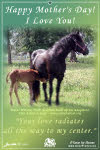 Mother's Day Greeting Card; free to send