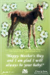 Mother's Day Ecard; free to send