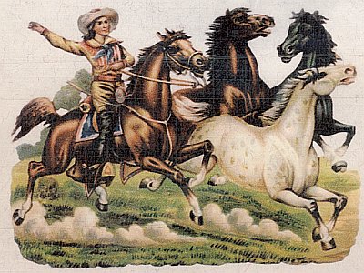 Cowgirl and horses Cowgirl and horses