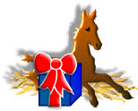 foal with gift image foal with gift image