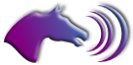 Horse Nickering Image