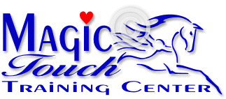 Magic Touch Training Center Horse Logo Magic Touch Training Center Horse Logo