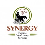 Custom horse logo design created for Synergy Equine Veterinary Services